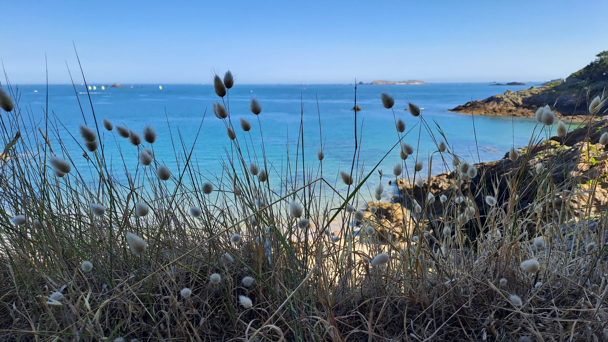 Temps fraternel entre les sœurs de l’Assomption en Bretagne